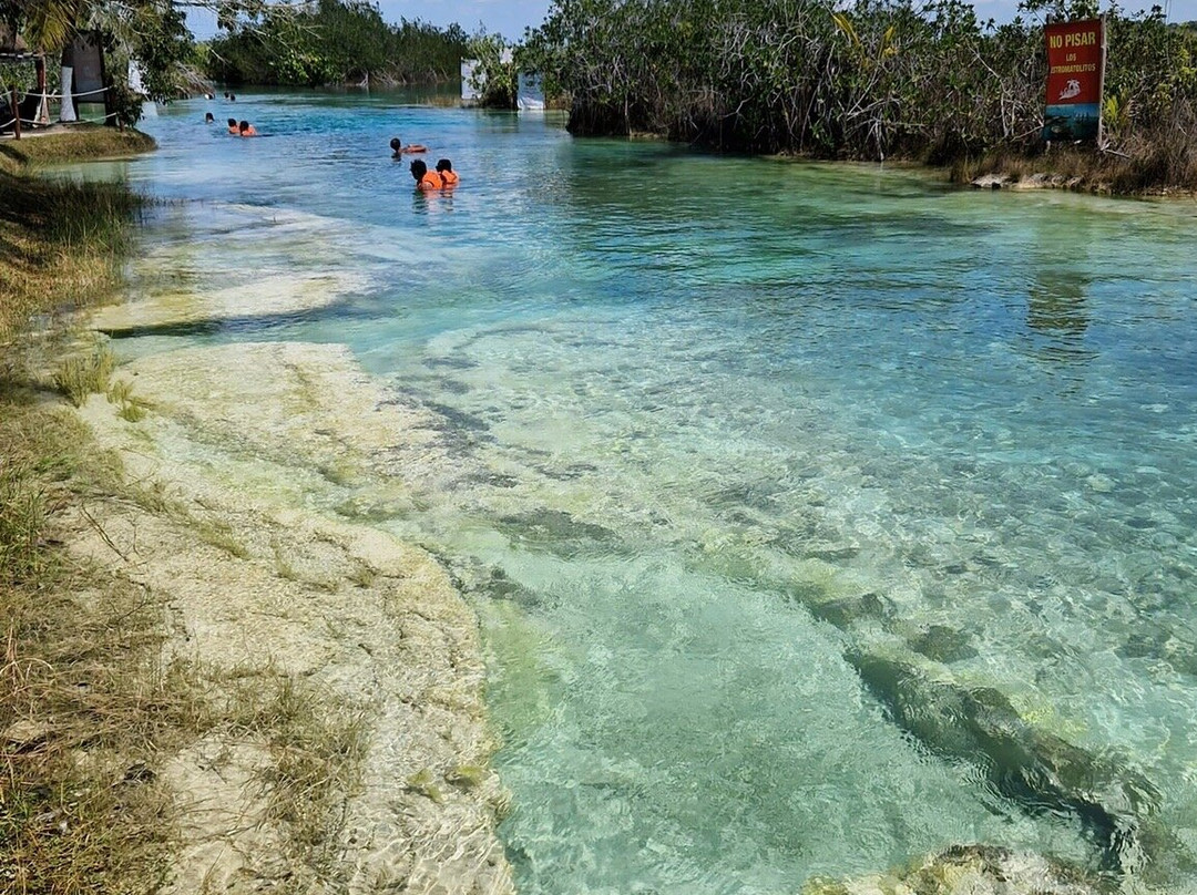 Stromatolites in Bacalar Rapids-Bacalar必去景点