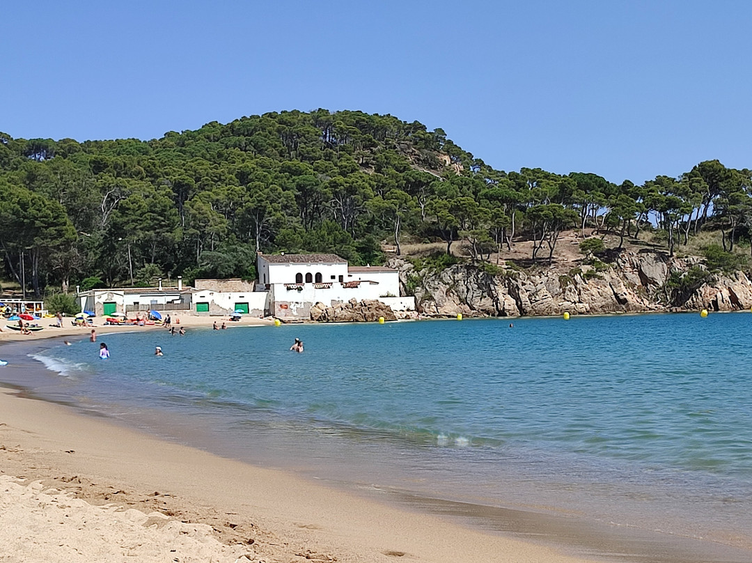 Platja de Castell-Palamos必去景点