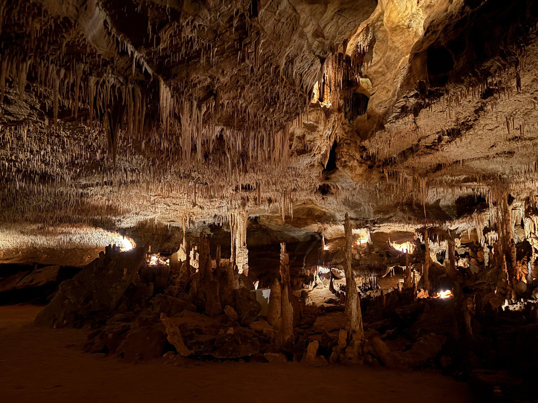 Grottes de Cougnac-Payrignac必去景点