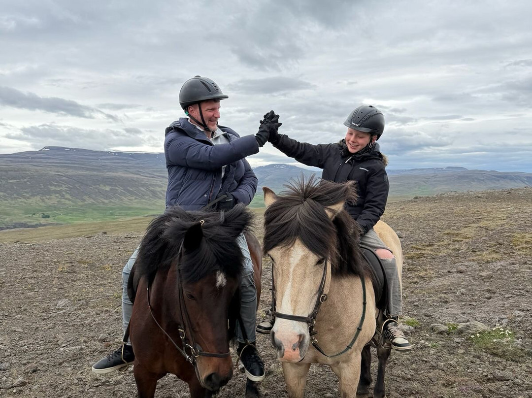Lýtingsstadir Riding Tours-Varmahlid必去景点