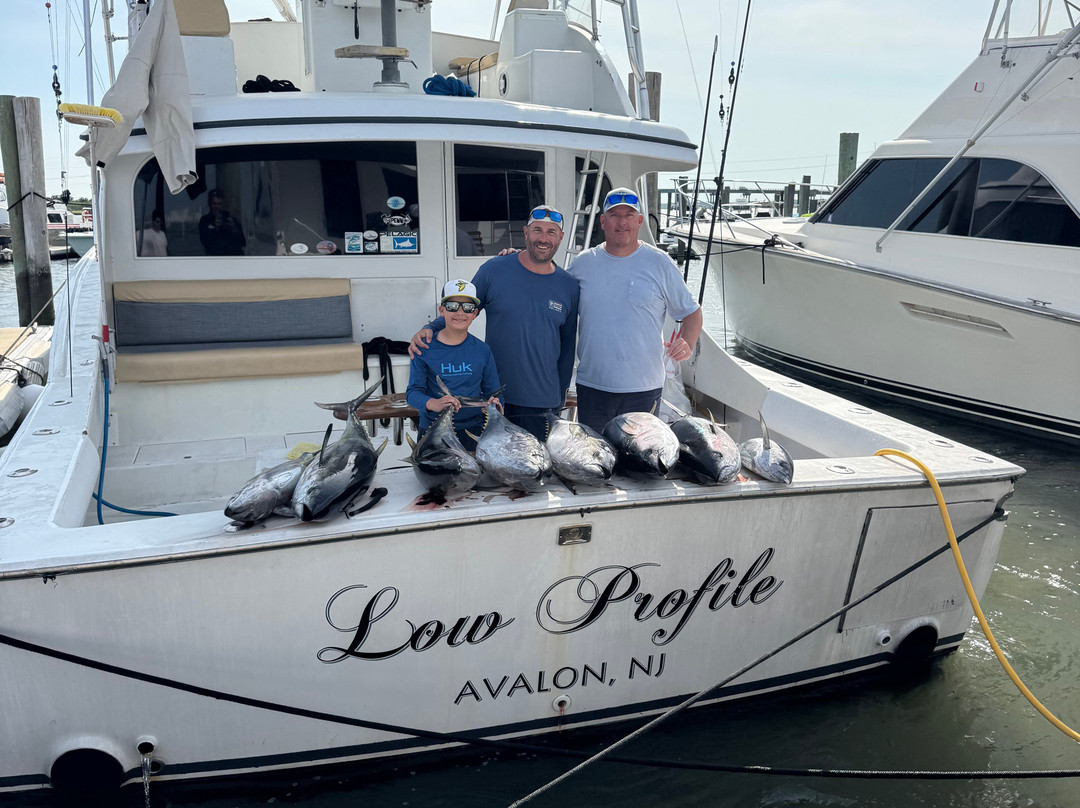Avalon Fishing Charters-Avalon必去景点