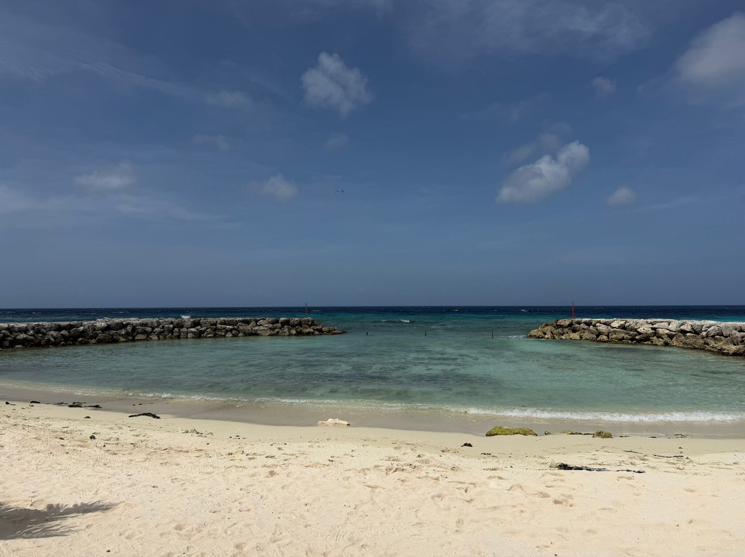 De Palm Island-阿鲁巴岛必去景点