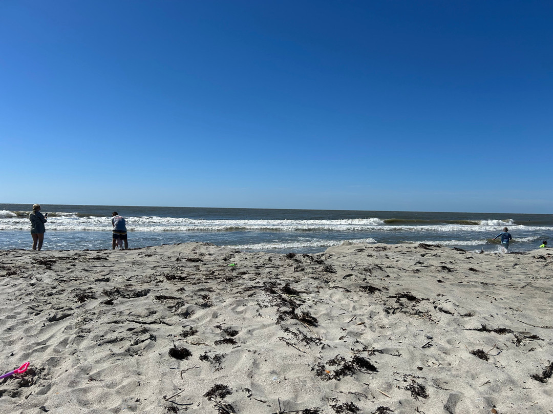 Isle of Palms Beach-棕榈岛必去景点