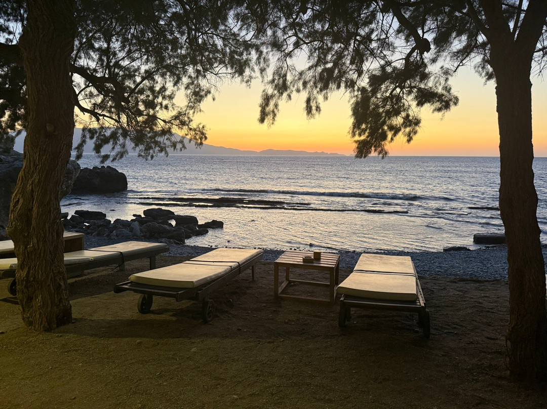 Seaesta On The Beach