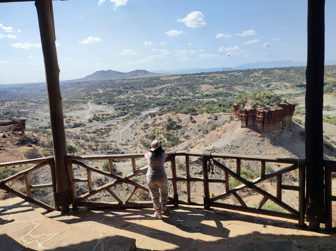 Olduvai Gorge Museum-恩戈罗恩戈罗保护区必去景点