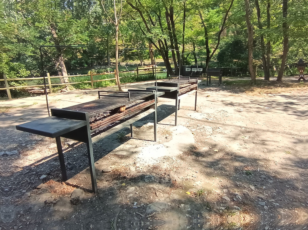 Parco del Grassano-San Salvatore Telesino必去景点