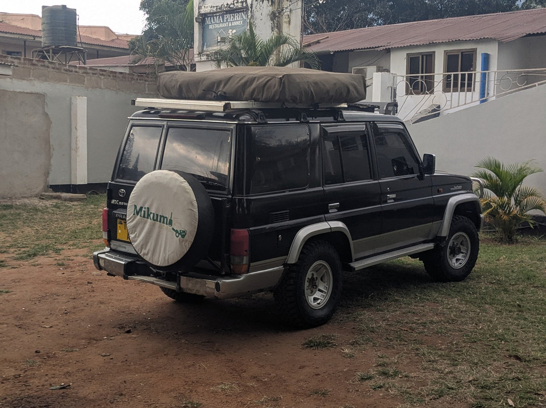 Mikumi Car Rental Safaris-Dar es Salaam必去景点
