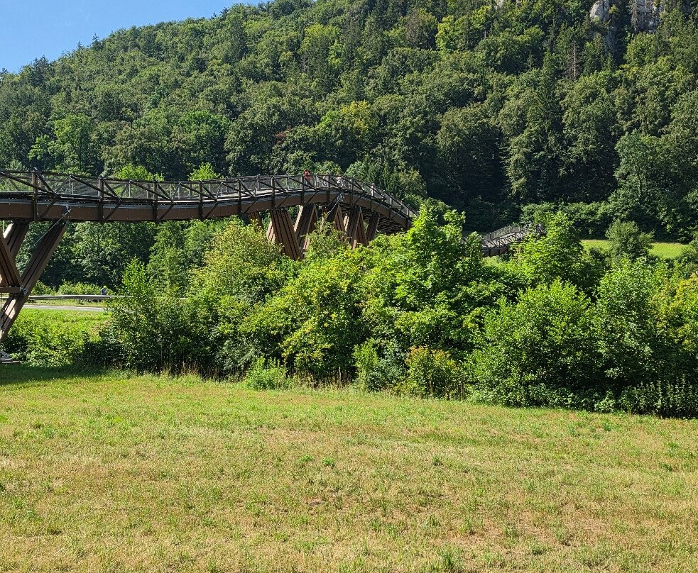 Holzbrücke Tatzlwurm-Essing必去景点