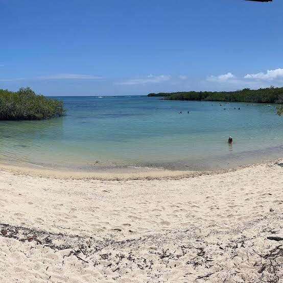 Playa de los Alemanes-阿约拉港必去景点