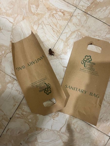 苏度阿拉利亚酒店-客卧