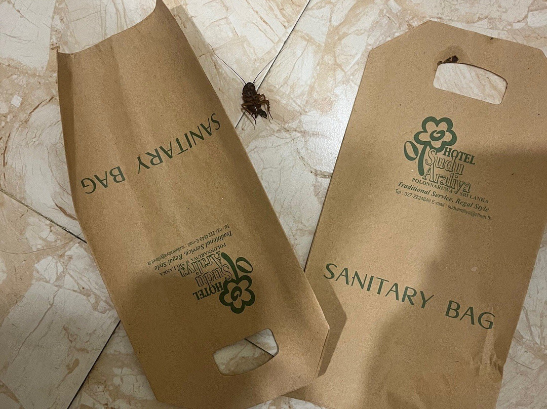 苏度阿拉利亚酒店主图