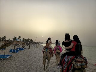 Flamingo Club Quads Djerba-Mezraia必去景点