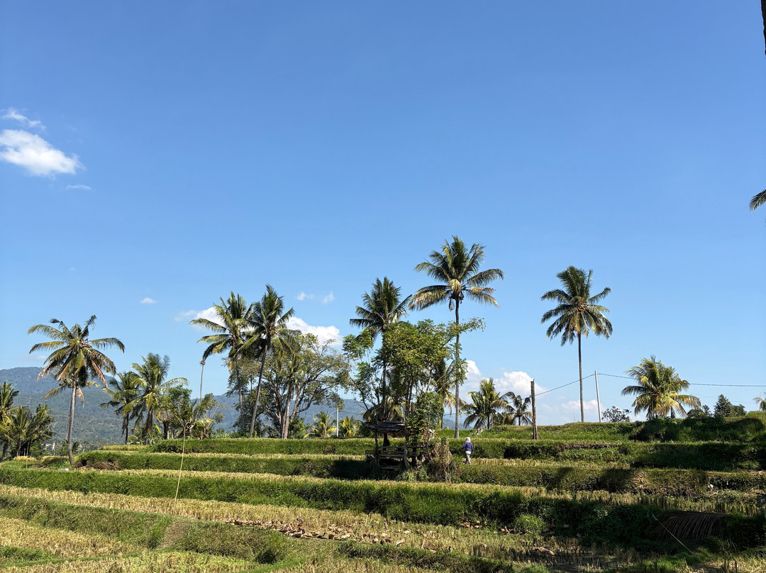 Bali Local Tour Guide-登巴萨必去景点
