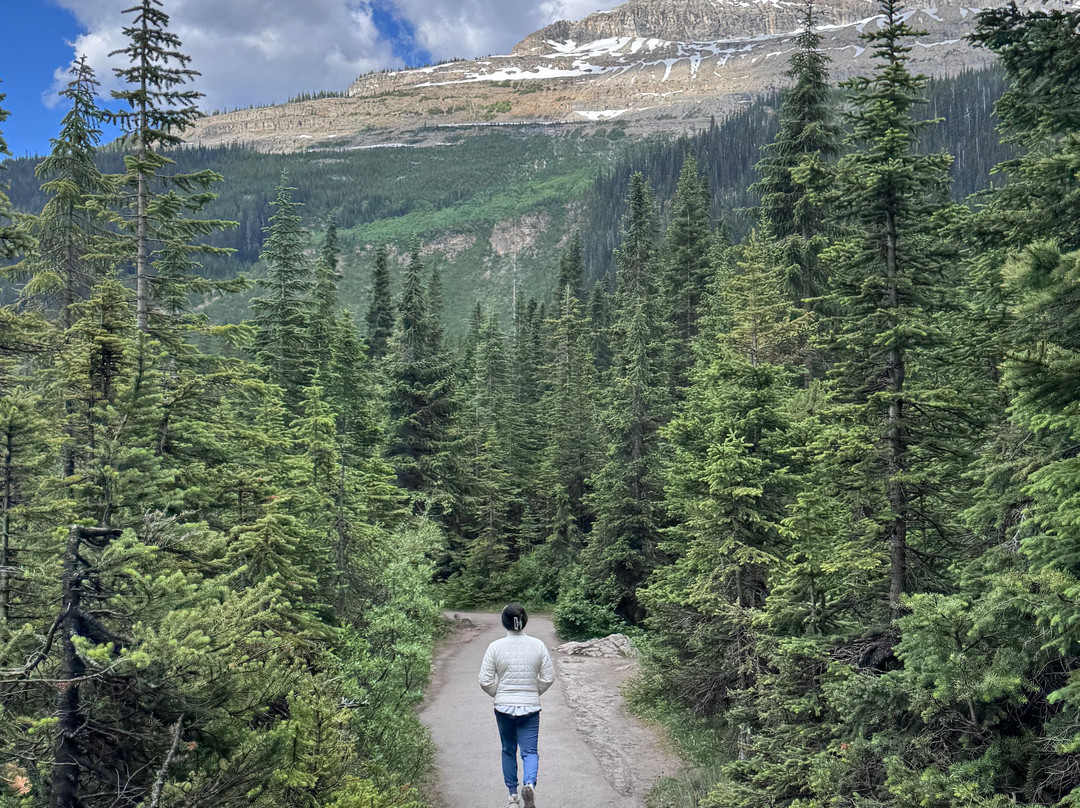 Takakkaw Falls-幽鹤国家公园必去景点