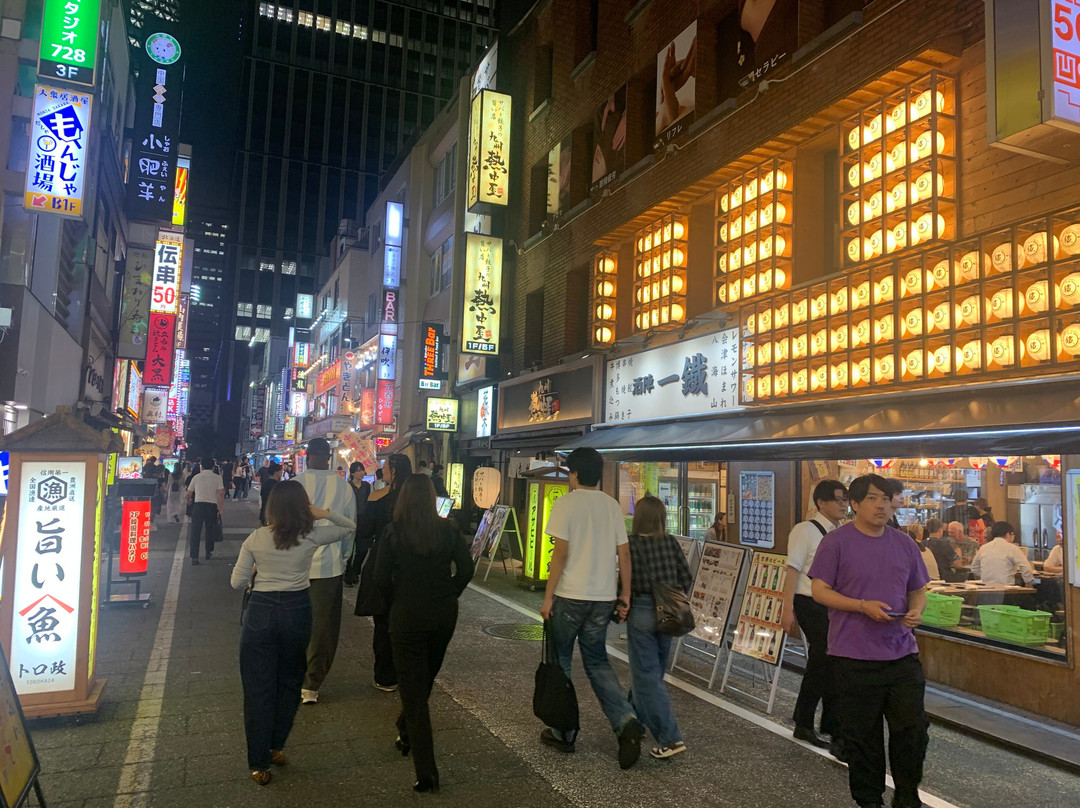 Narita Express (NEX)-成田市必去景点