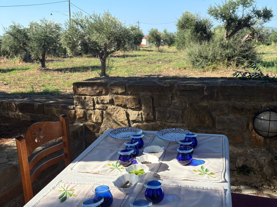 Liokarpos Olive Oil Tasting Experience-Finikounda必去景点