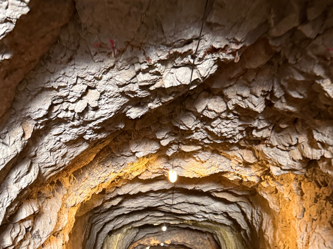 La Grotte Des Demoiselles-Saint-Bauzille-de-Putois必去景点