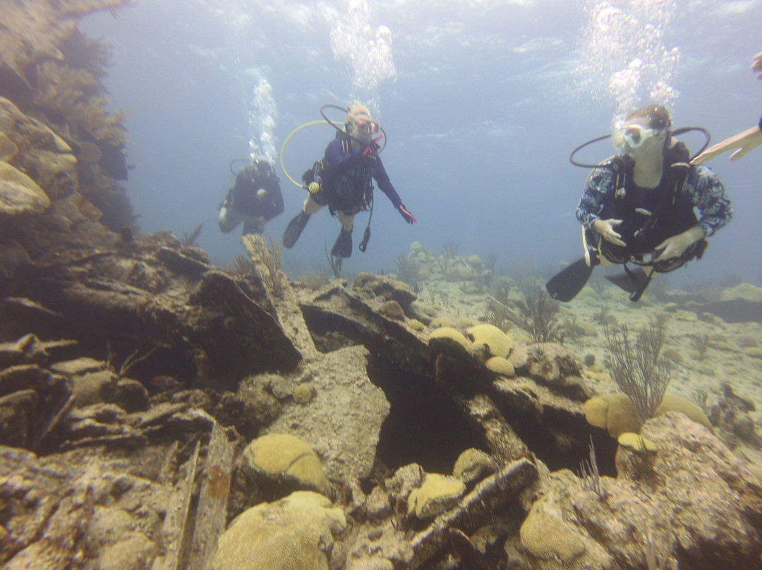Blue Water Divers & Watersports-Sandys Parish必去景点