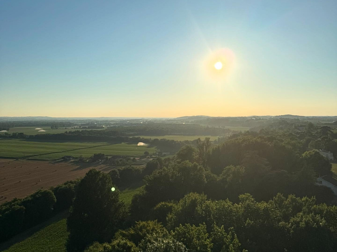 Tour De Termes D'armagnac-Termes d'Armagnac必去景点
