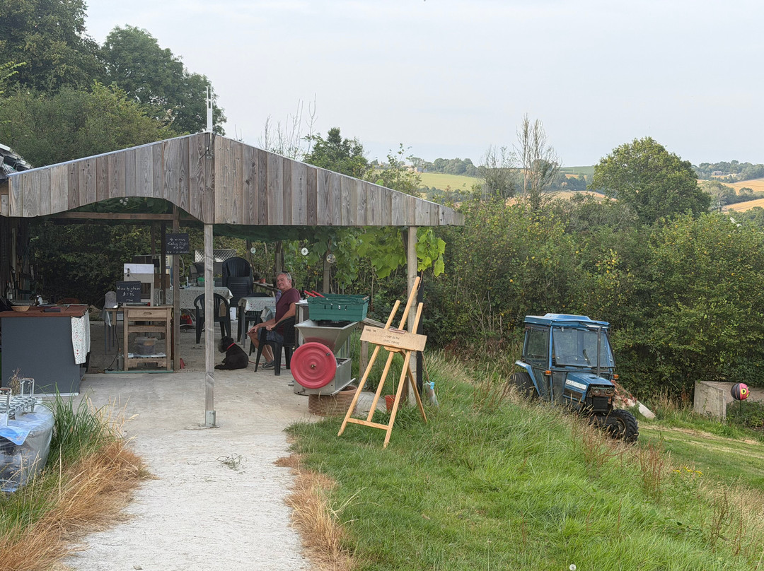 Looe Valley Vineyard-卢城必去景点