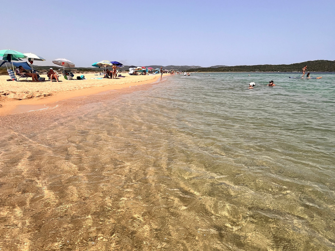 Spiaggia Porto Liscia-圣特雷莎加卢拉必去景点