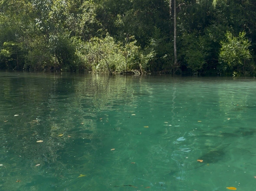 Weeki Wachee Kayaking-Weeki Wachee必去景点