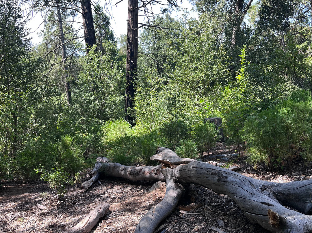 William Heise County Park-朱利安必去景点