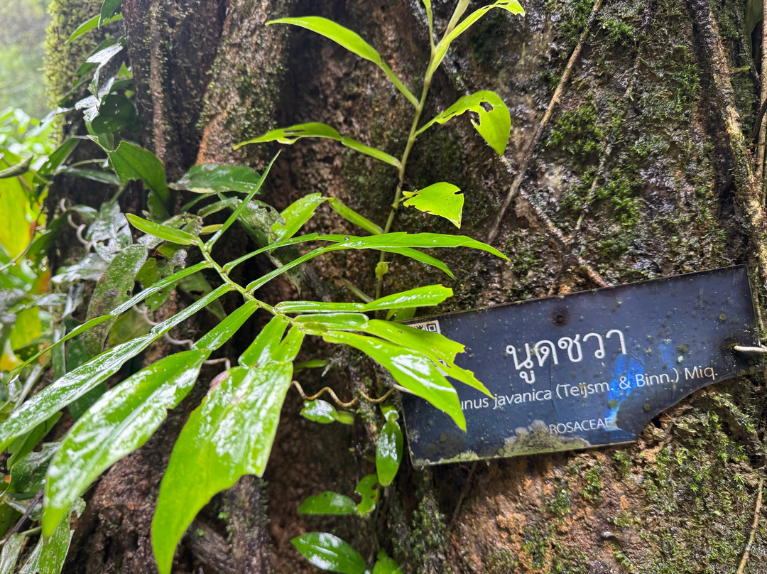 Tam Nang Waterfall-攀牙必去景点