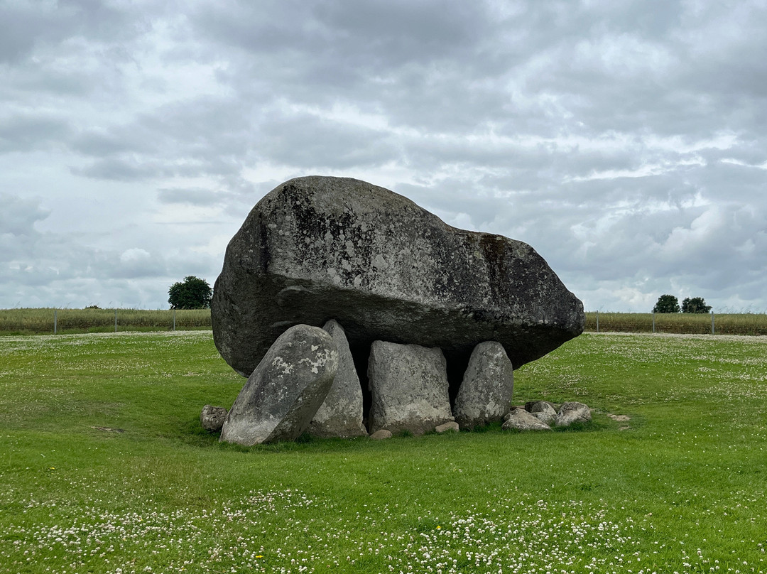 Brownshill Dolmen-Carlow必去景点