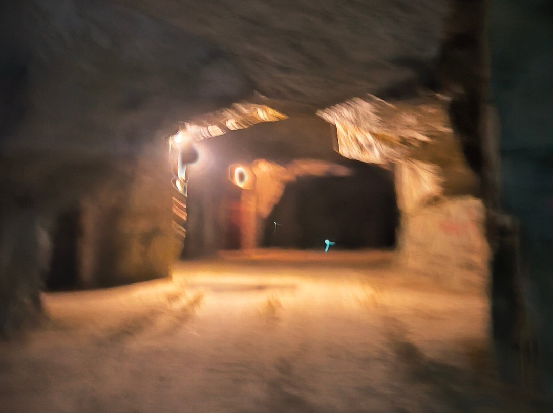 Cave Nathalie et David Drussé-Saint Nicolas de Bourgueil必去景点