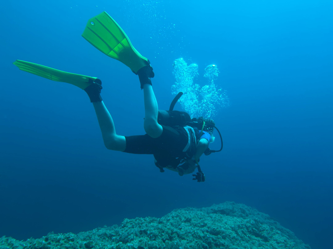 First Class Divers-Porto Petro必去景点