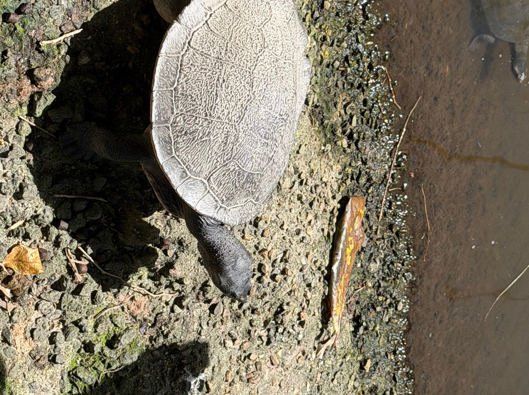 Wildlife Habitat Port Douglas-道格拉斯港必去景点