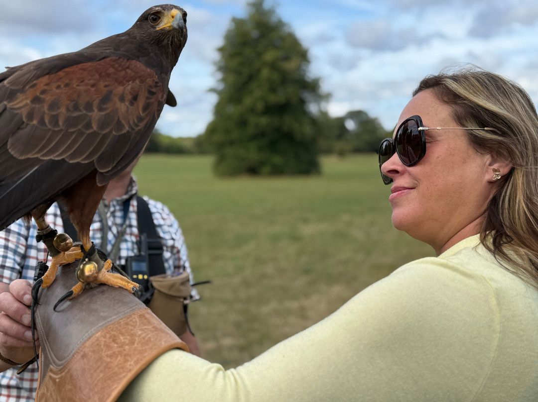 Hawkeye School of Falconry-基尔肯尼必去景点