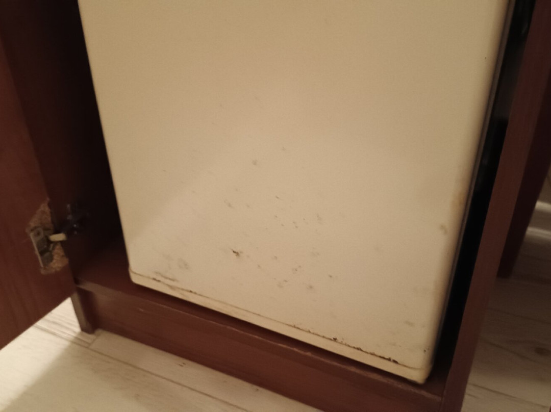 Perla Plaza Hotel - All Inclusive主图