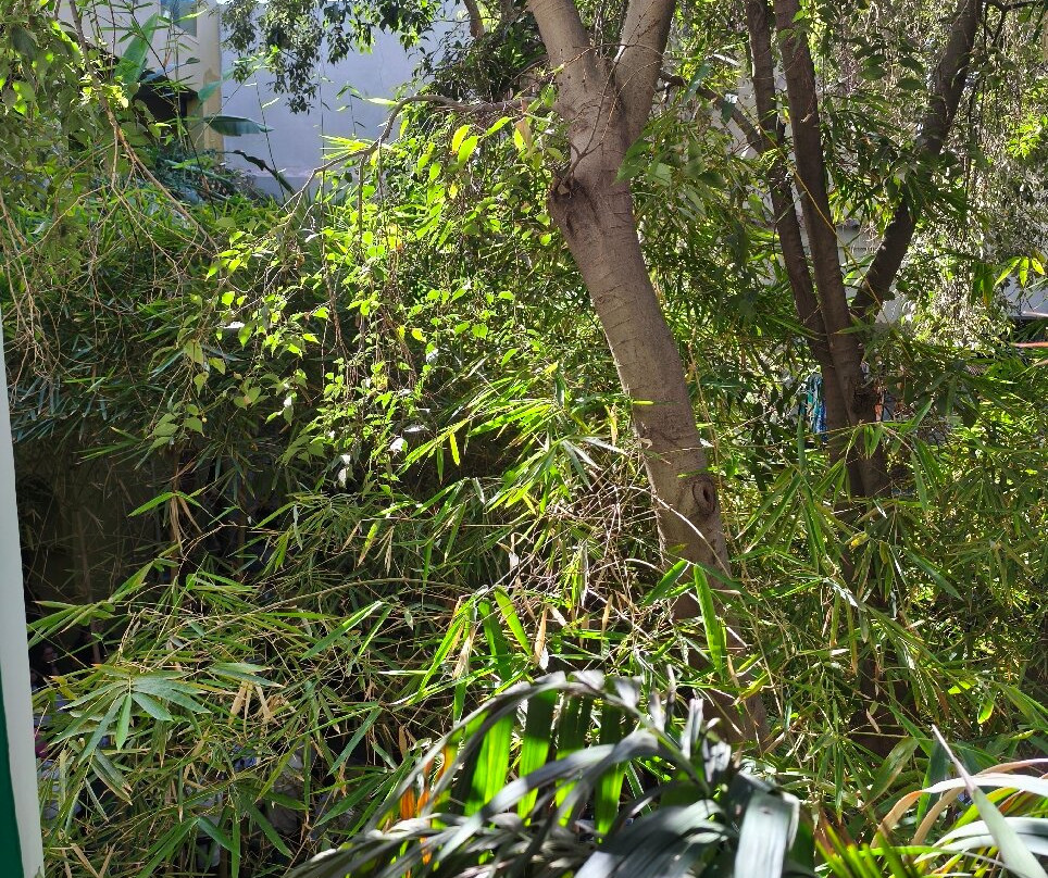 香颂秘密花园-马拉喀什必去景点