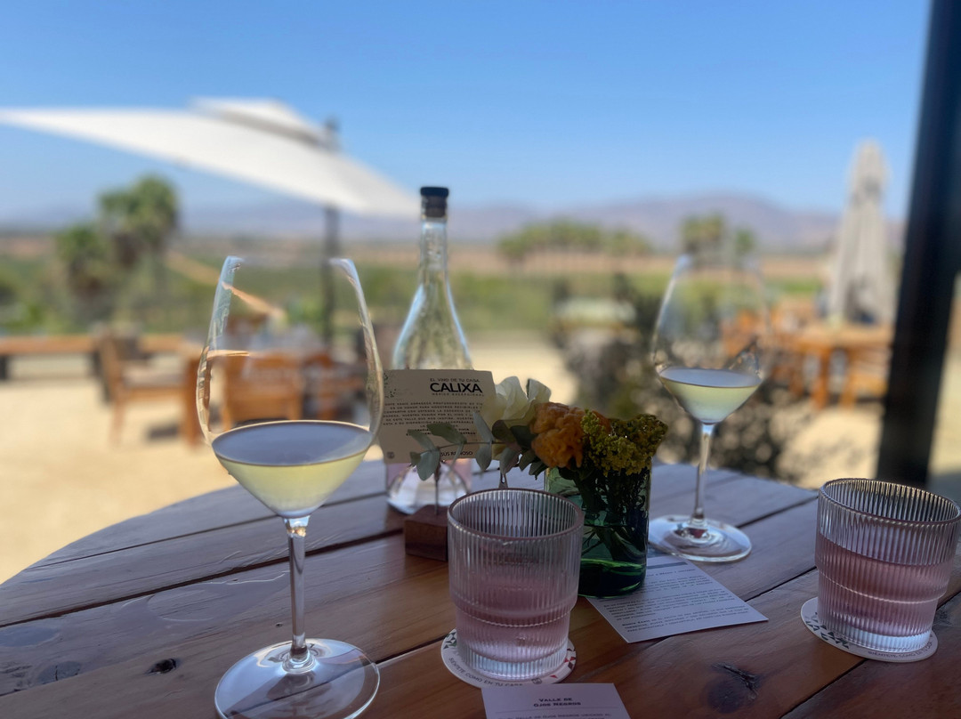 Monte Xanic Bodega Vinícola-Valle de Guadalupe必去景点