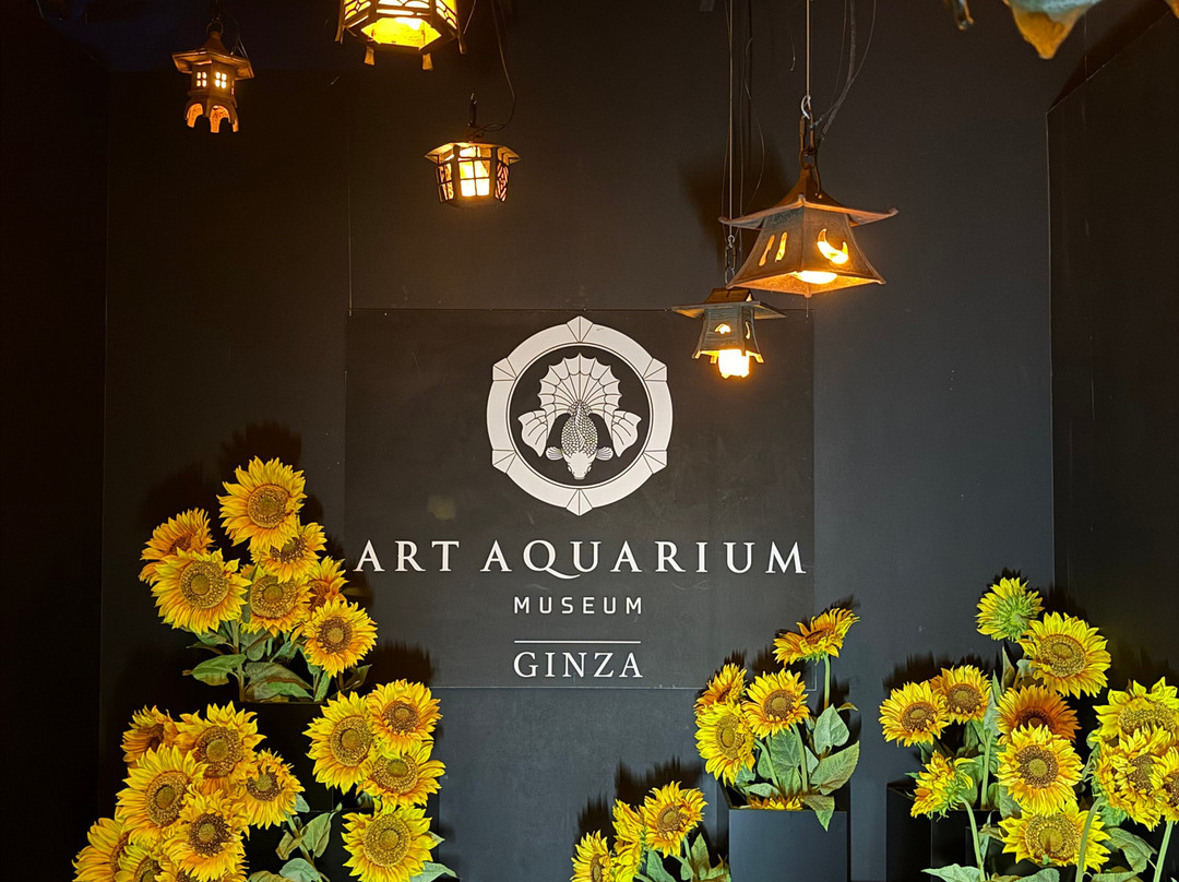 Art Aquarium-Ginza必去景点