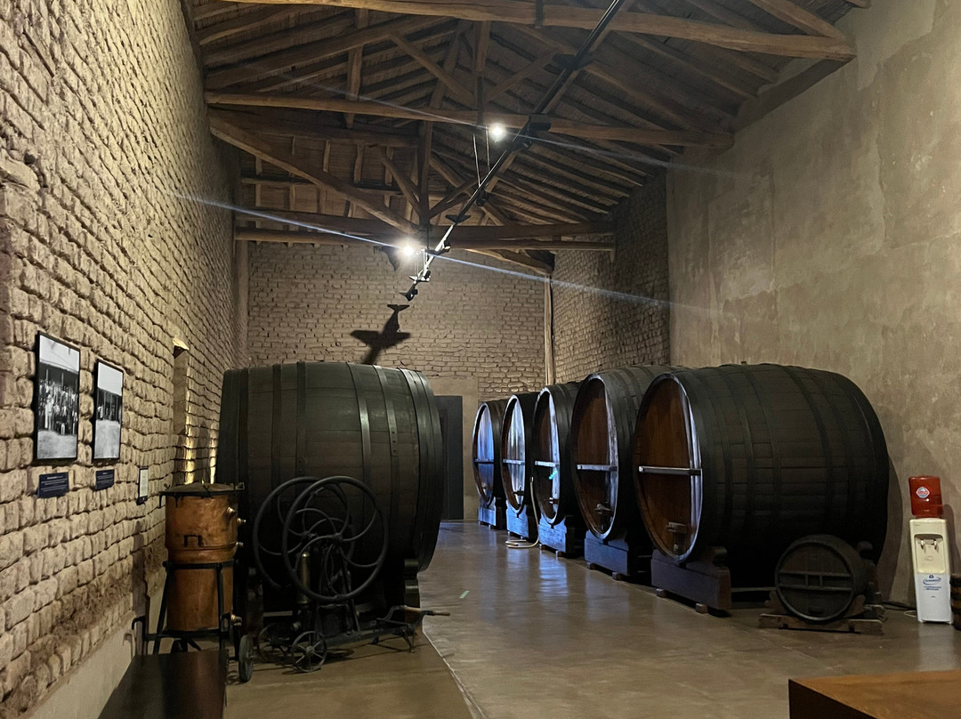 Museo del vino-Maipu必去景点