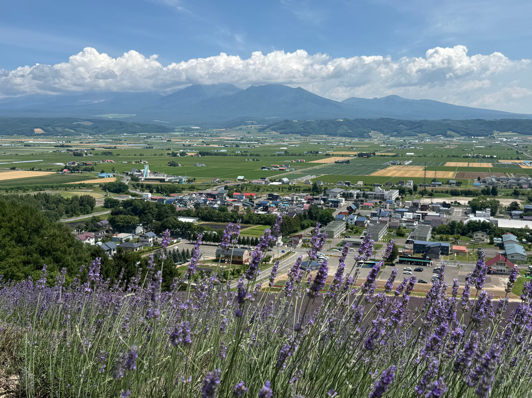 Nakafurano Flower Park