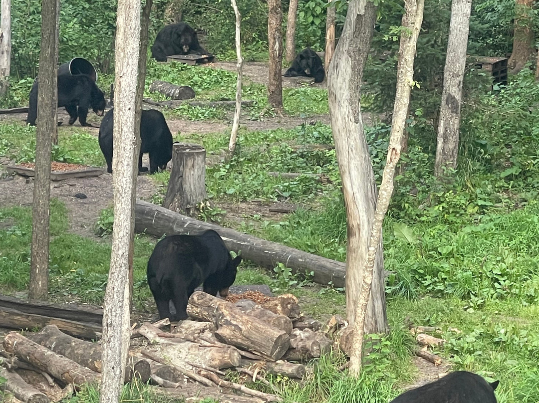 Vince Shute Wildlife Sanctuary-Orr必去景点