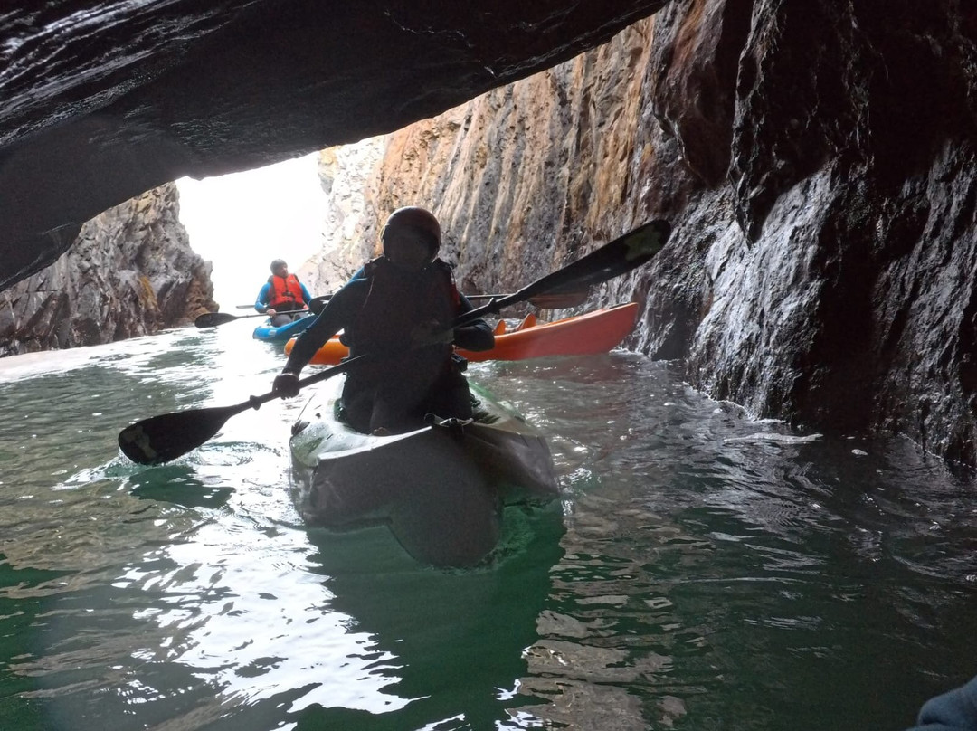 Adventure Beyond-Coed Y Bryn必去景点