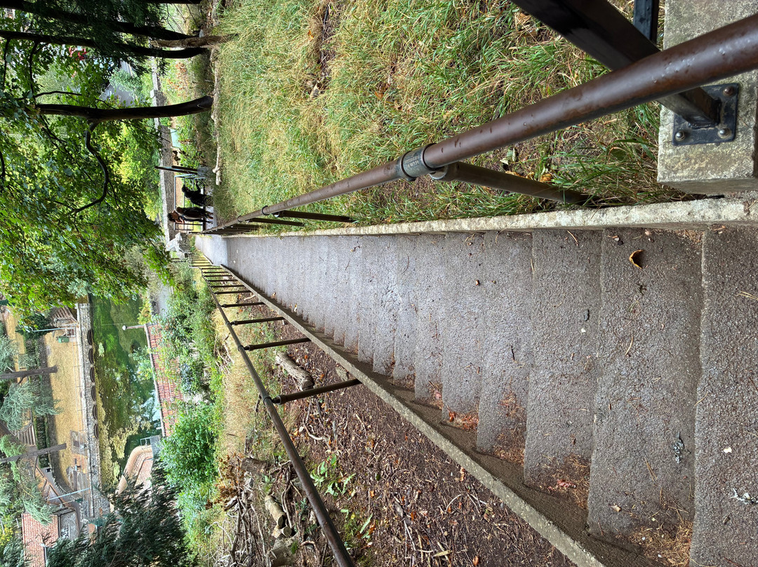 Jacob's Ladder