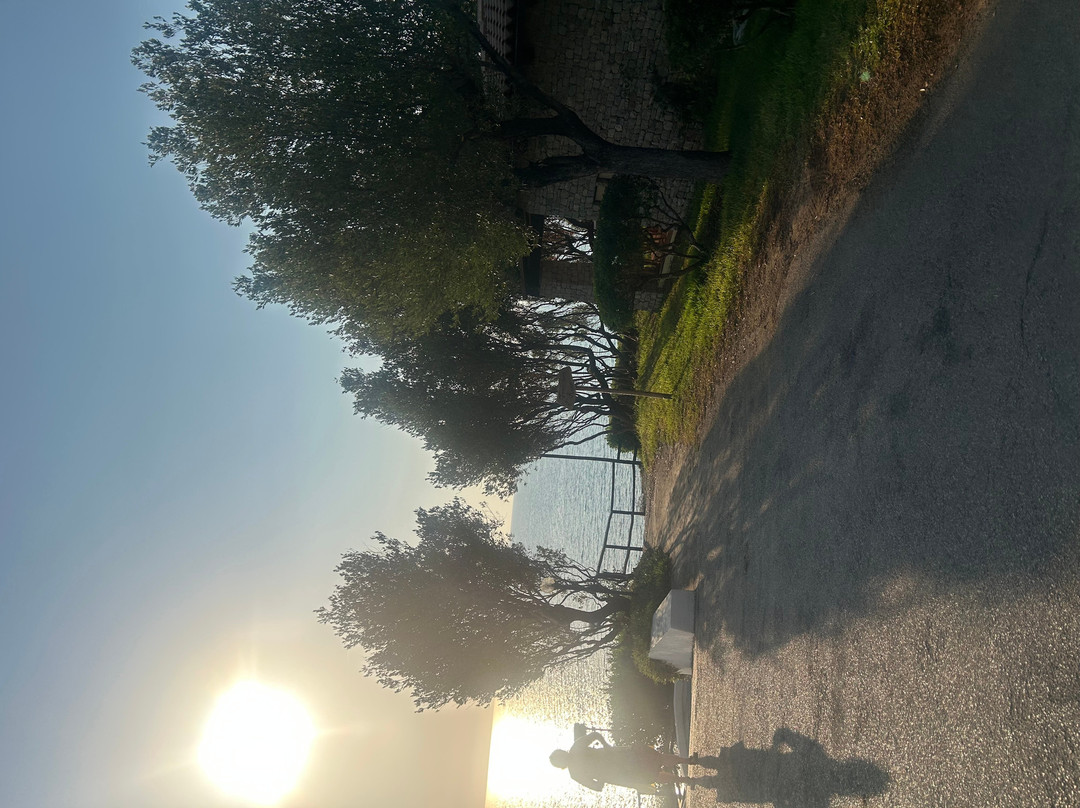 Villaggio degli Olivi主图