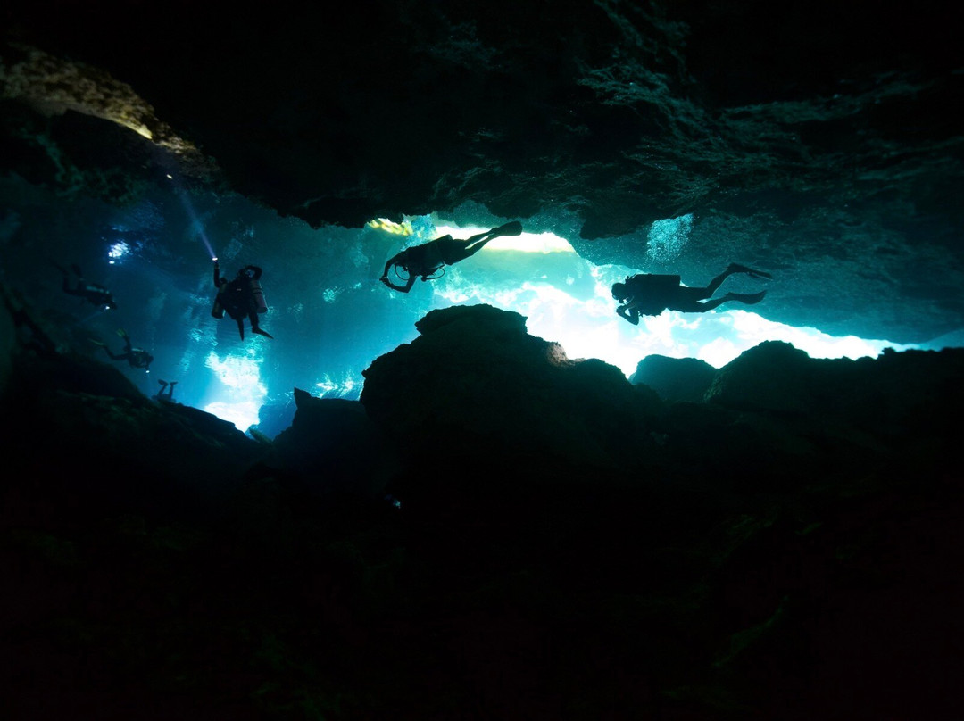Dressel Divers Playa Del Carmen-普拉亚德尔卡曼必去景点