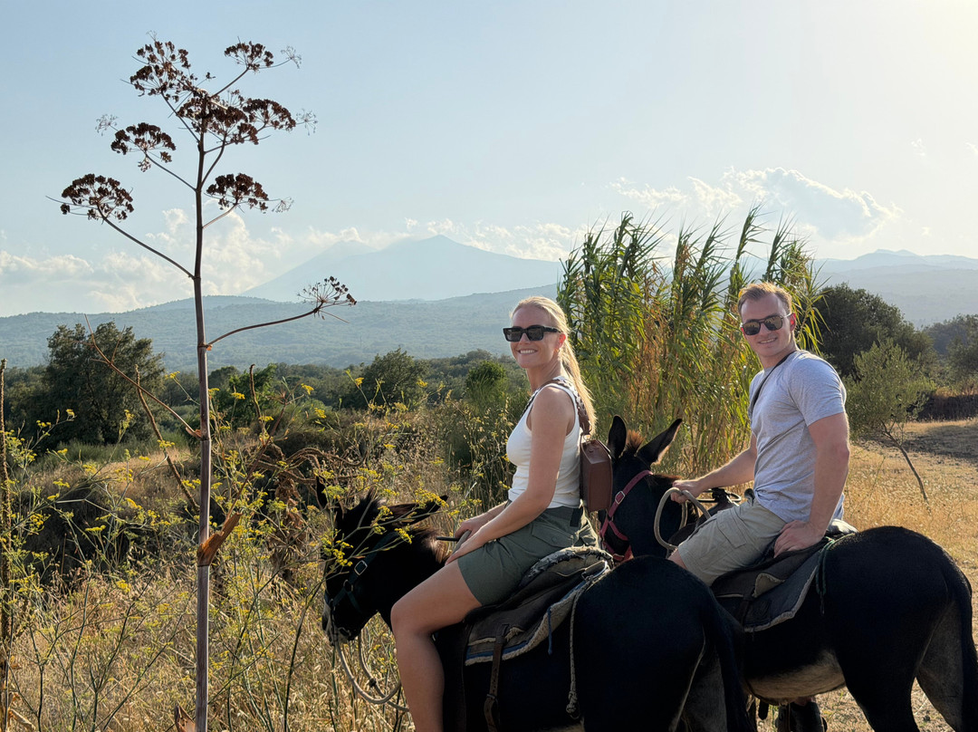 Etna Donkey Trekking-林瓜格洛萨必去景点