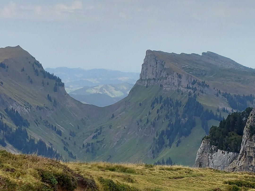 Niederhorn Berg-贝阿滕贝格必去景点
