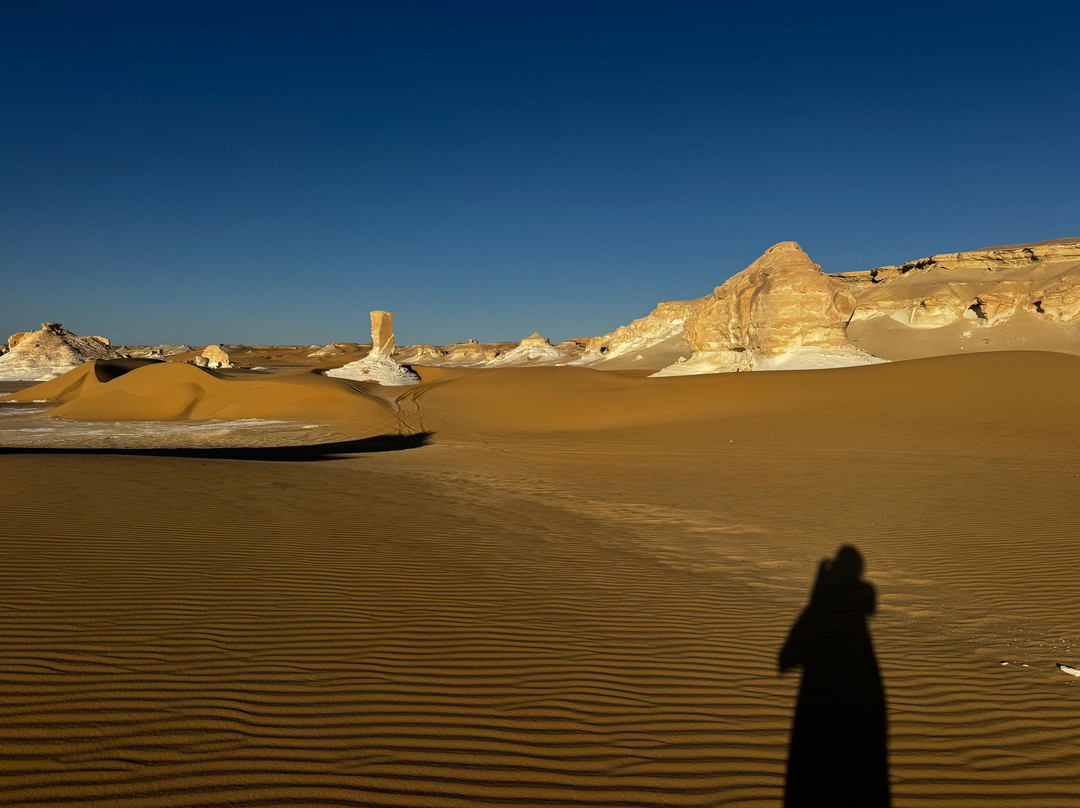 Bedouin Trails-吉萨必去景点