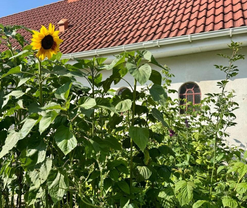 汉斯特霍尔姆酒店住宿-Langagergaard Bed & Breakfast