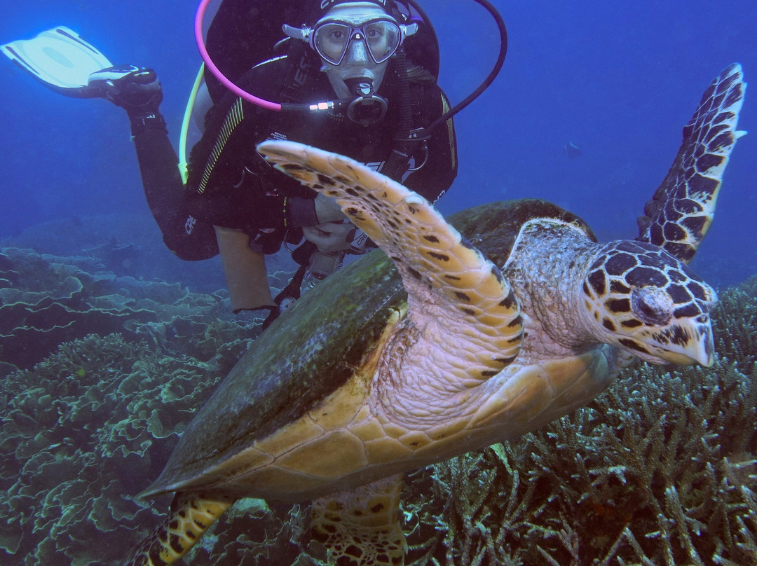Family Divers Maldives-拉斯胡必去景点
