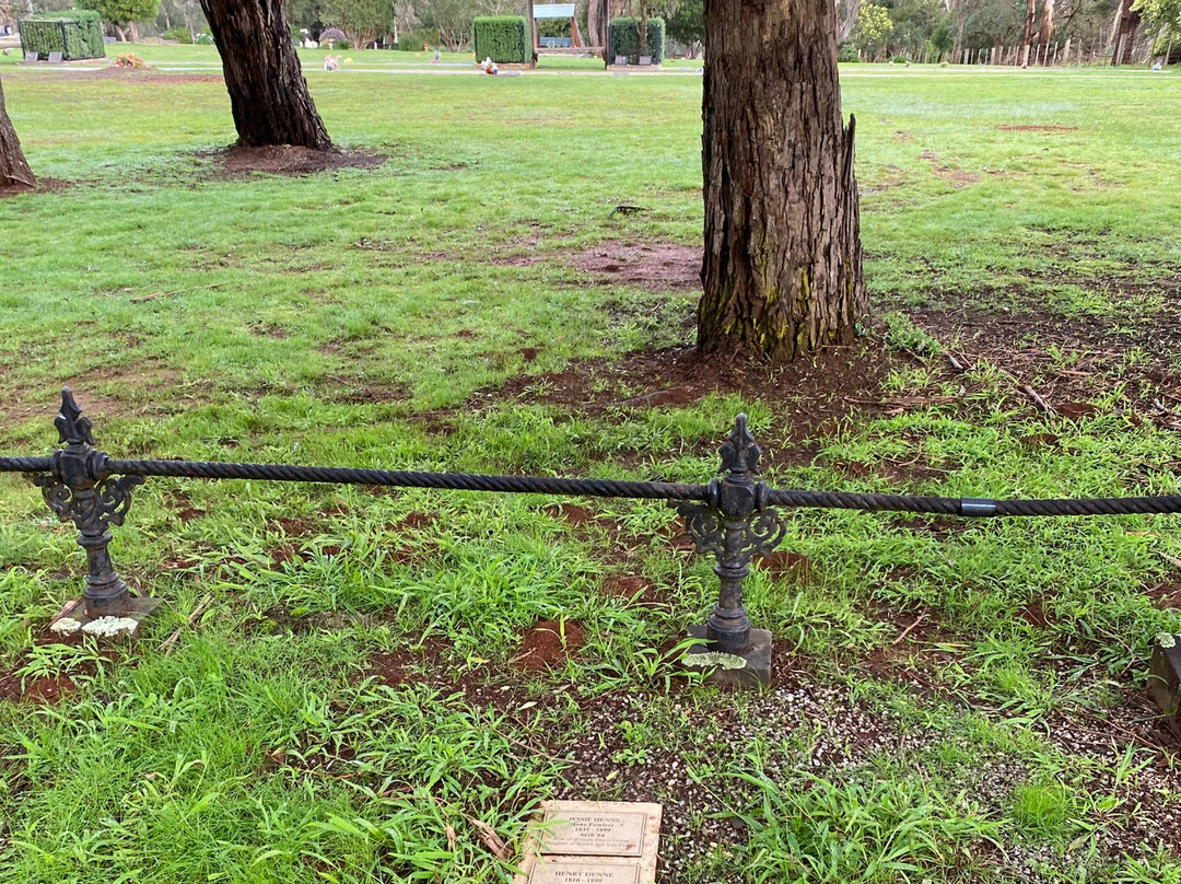 Phillip Island Cemetery-考斯必去景点